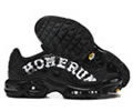 Nike Air Max Plus Tn men shoes