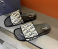DIOR Men Slippers best quality